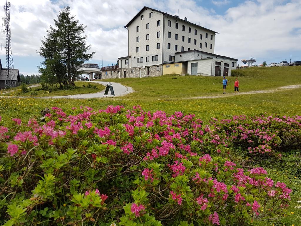 Hotel Berghof Tauplitzalm エクステリア 写真