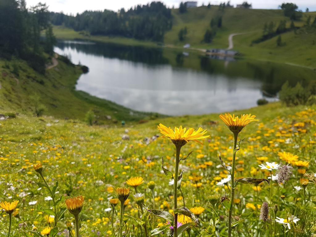Hotel Berghof Tauplitzalm エクステリア 写真